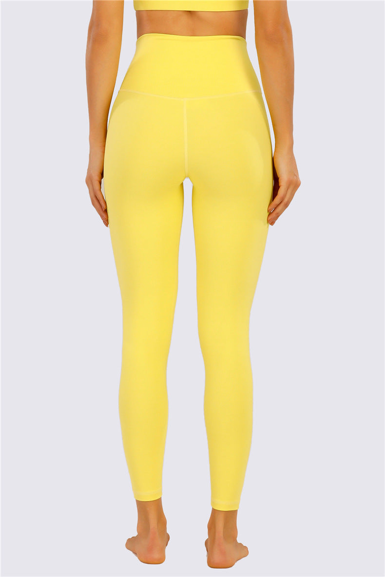 Adonis - Terra Activewear